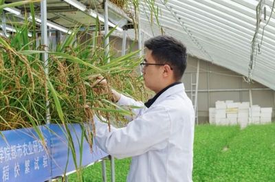 國際首次試驗成功，核心技術源自天府新區(qū)科技推廣與應用服務