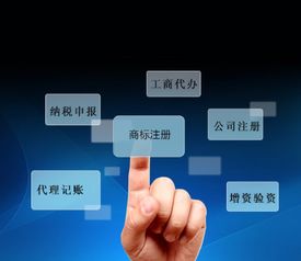 富海360網(wǎng)絡(luò)營銷全案 科技推廣與應(yīng)用服務(wù)的數(shù)字化增長引擎